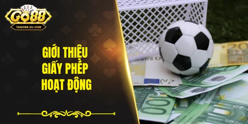 Giới thiệu giấy phép hoạt động