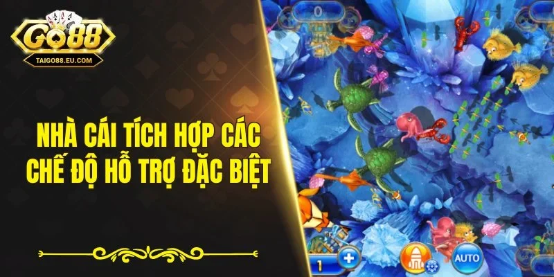 Nhà cái tích hợp các chế độ hỗ trợ đặc biệt
