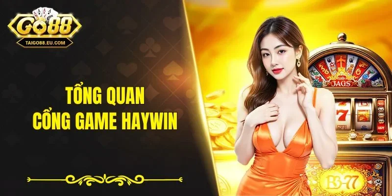 Tổng quan về cổng game Haywin